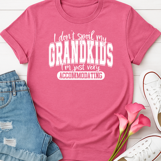 I don't Spoil My Grandkids -  Single Color Screen Print - Adult Size